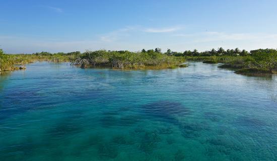 el Lago Bacalar